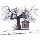 Winter in Sint-Pieters-Rode